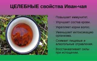 Иван-чай кормящей маме: старинный напиток на страже лактации