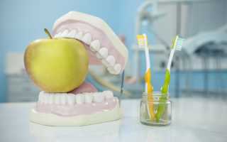 Основы питания для пациента со съемными зубными протезами