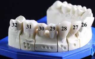 Схемы нумерации зубов в современной стоматологии