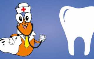 Гирудотерапия в стоматологии — новшество или возвращение забытой методики?