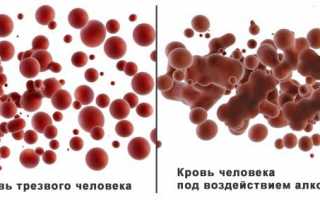 Можно ли пить алкоголь при геморрое?